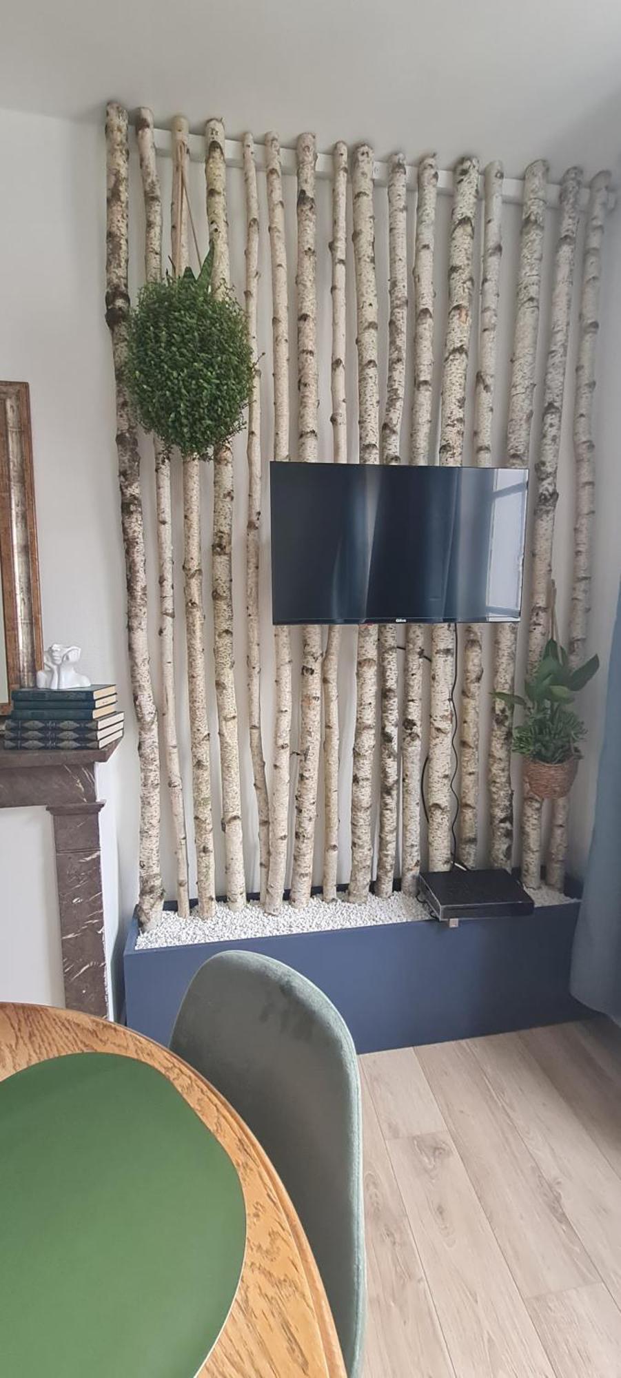 Studio 4 Personnes Aux Pieds Du Chateau De Blois Avec Experience De Dormir Sous Les Aurores Boreales Extérieur photo